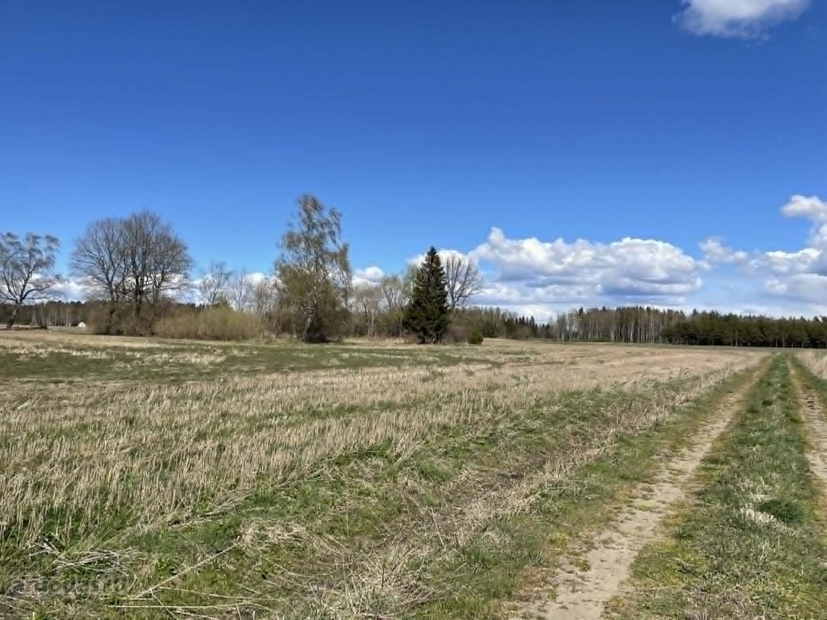 Parduodamas patrauklaus sklypas netoli - nuotraukos Nr. 25