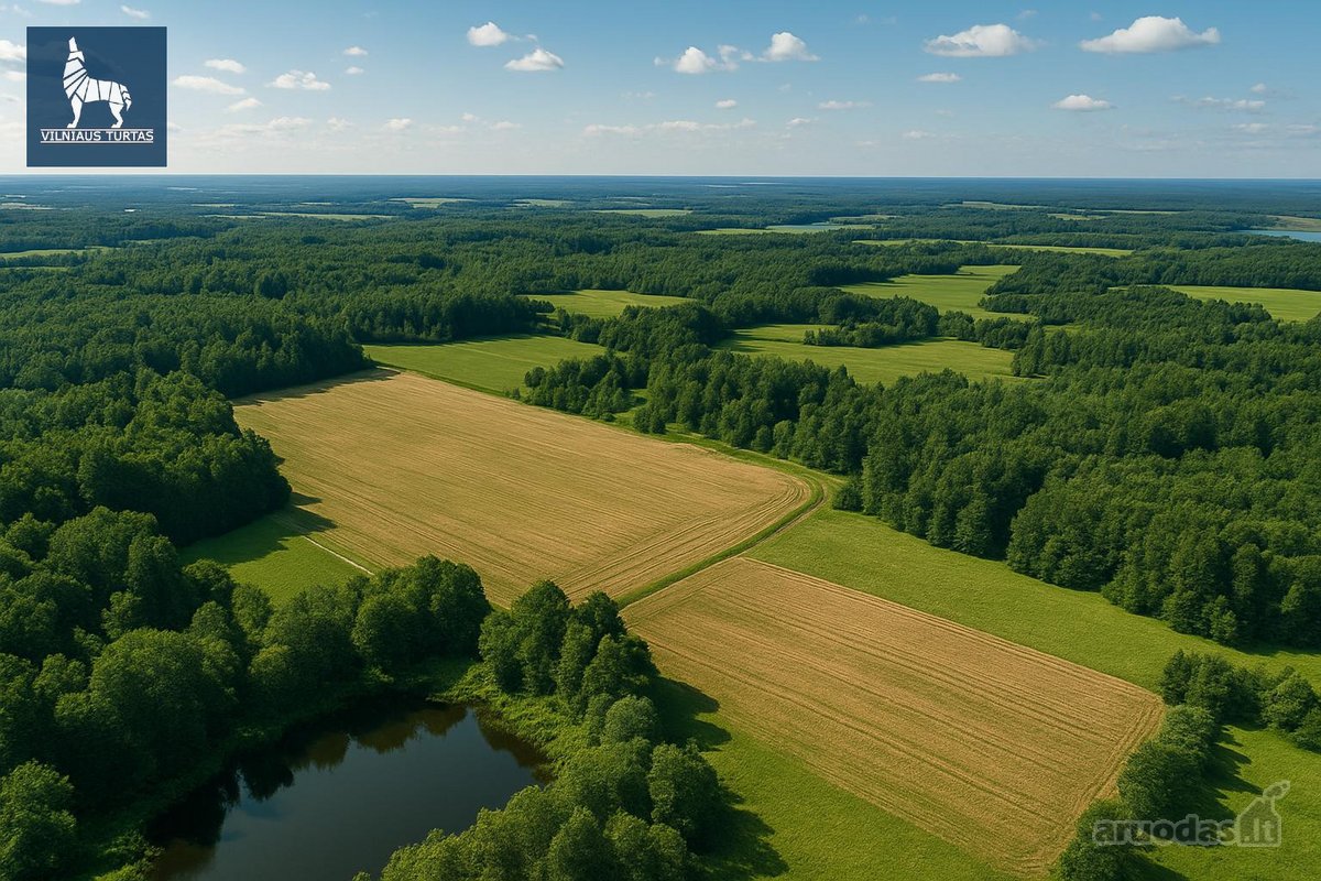 Parduodamas 131,7 ha žemės ūkio paskirties - nuotraukos Nr. 5