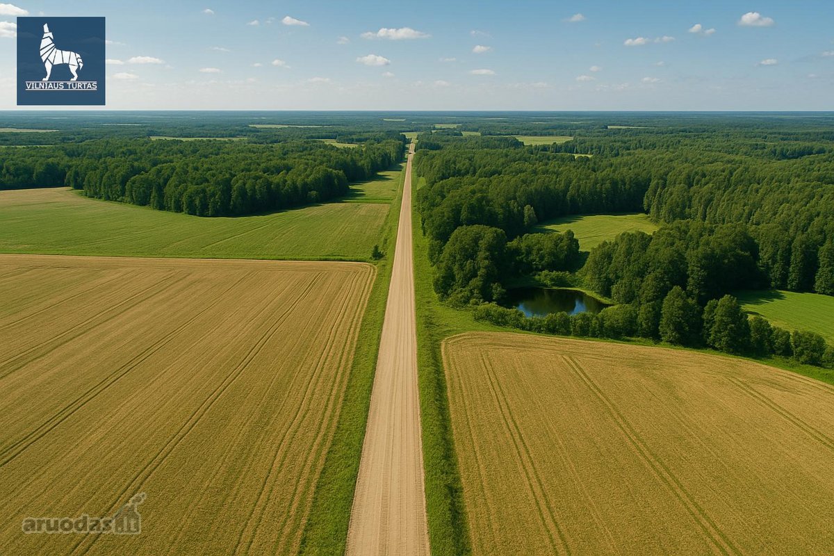 Parduodamas 131,7 ha žemės ūkio paskirties - nuotraukos Nr. 6