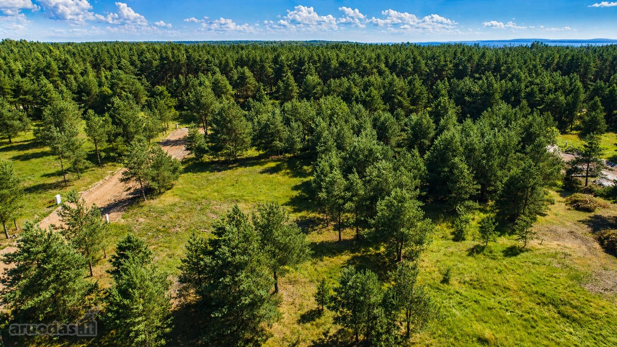 Išskirtinė vieta šalia Kuršių marių, pušyno - nuotraukos Nr. 2