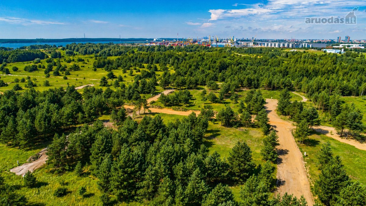 Išskirtinė vieta šalia Kuršių marių, pušyno - nuotraukos Nr. 19