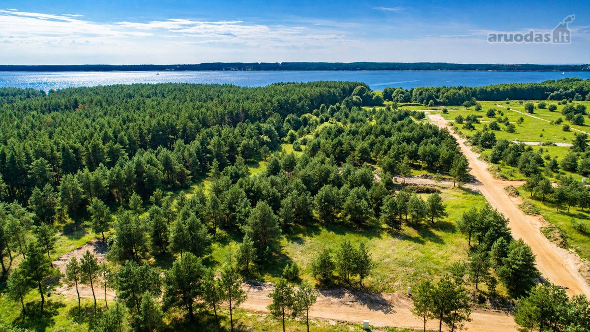 Išskirtinė vieta šalia Kuršių marių, pušyno - nuotraukos Nr. 18