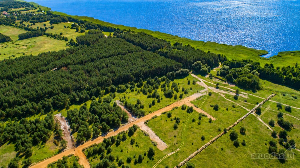Išskirtinė vieta šalia Kuršių marių, pušyno - nuotraukos Nr. 4