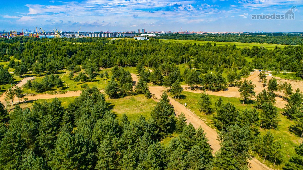 Išskirtinė vieta šalia Kuršių marių, pušyno - nuotraukos Nr. 17