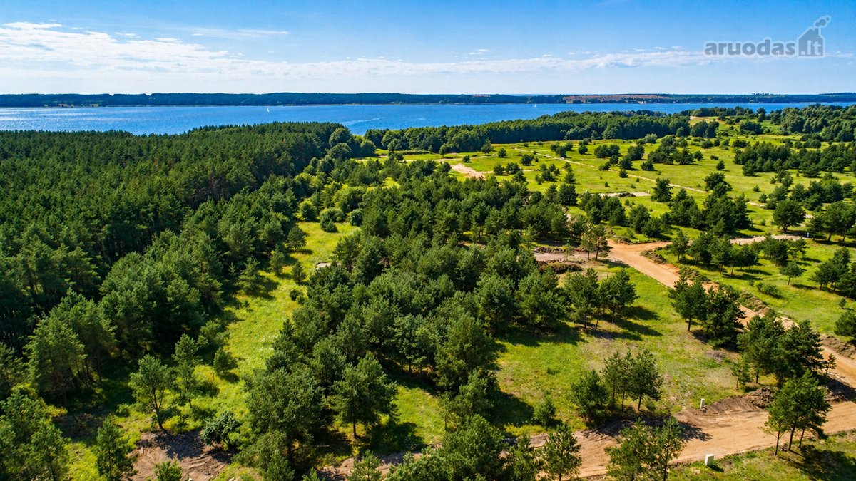 Išskirtinė vieta šalia Kuršių marių, pušyno - nuotraukos Nr. 3
