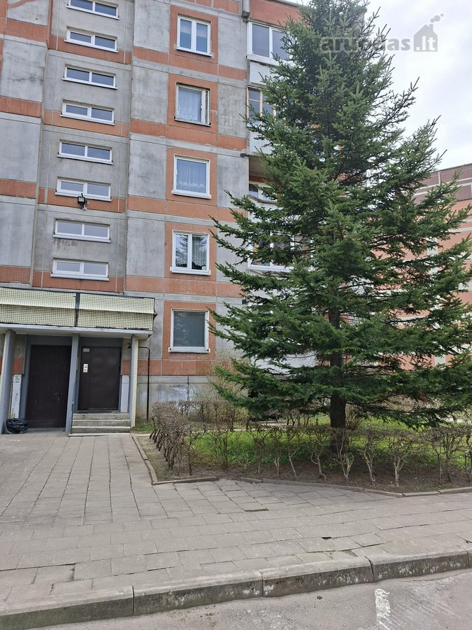 Bute niekas negyvena. Yra holas. Sandėliuko