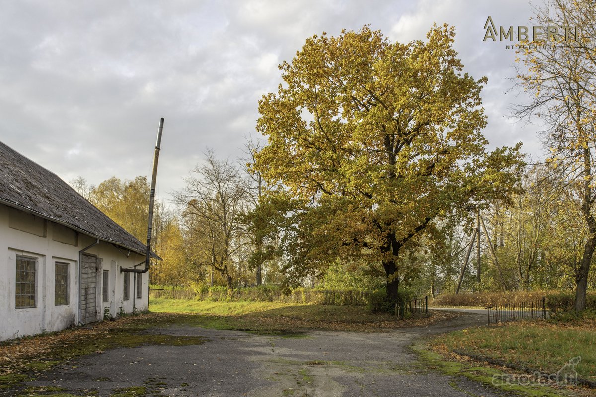 Amberti Nt agentūra parduoda komercinės ir - nuotraukos Nr. 21