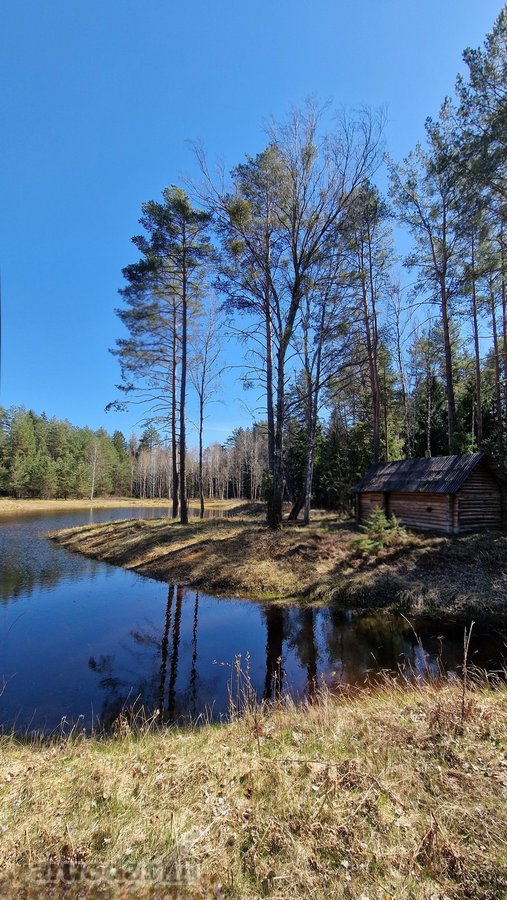 Unikalus sklypas su autentiška dūmine pirtimi - nuotraukos Nr. 7