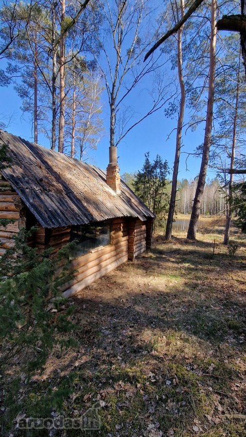Unikalus sklypas su autentiška dūmine pirtimi - nuotraukos Nr. 10