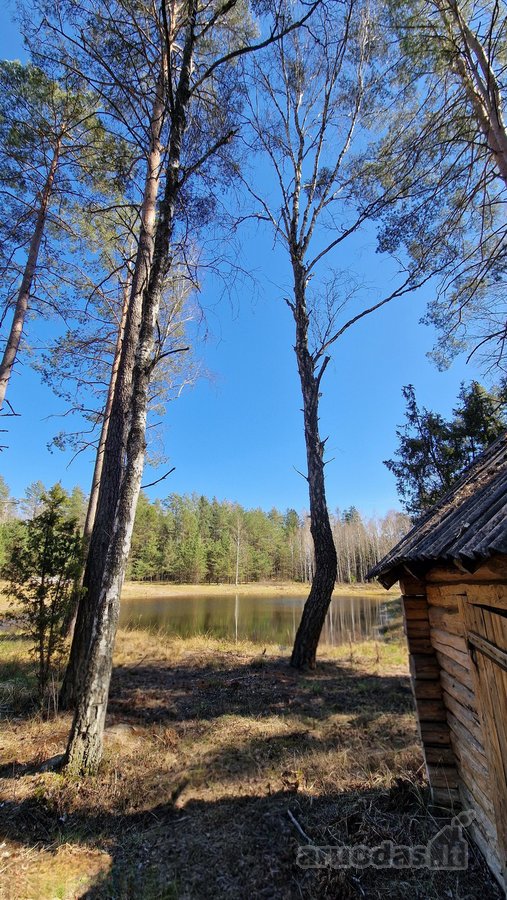 Unikalus sklypas su autentiška dūmine pirtimi - nuotraukos Nr. 11
