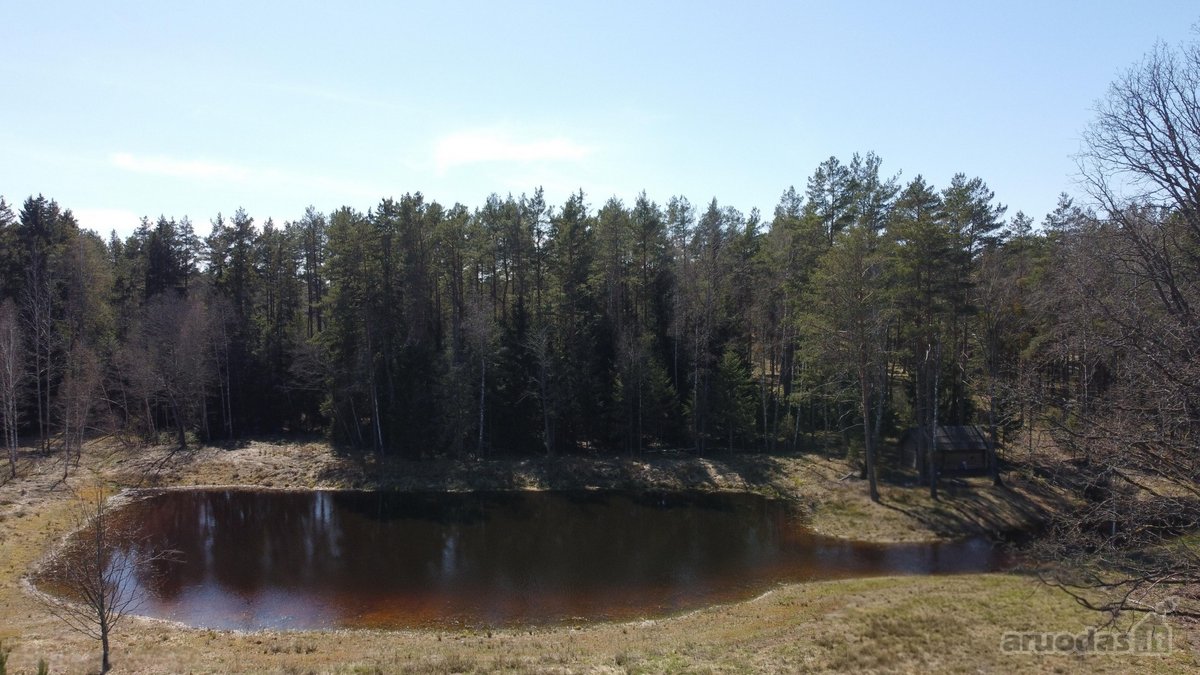 Unikalus sklypas su autentiška dūmine pirtimi - nuotraukos Nr. 15