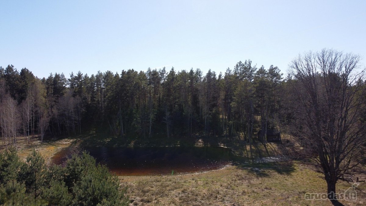 Unikalus sklypas su autentiška dūmine pirtimi - nuotraukos Nr. 18