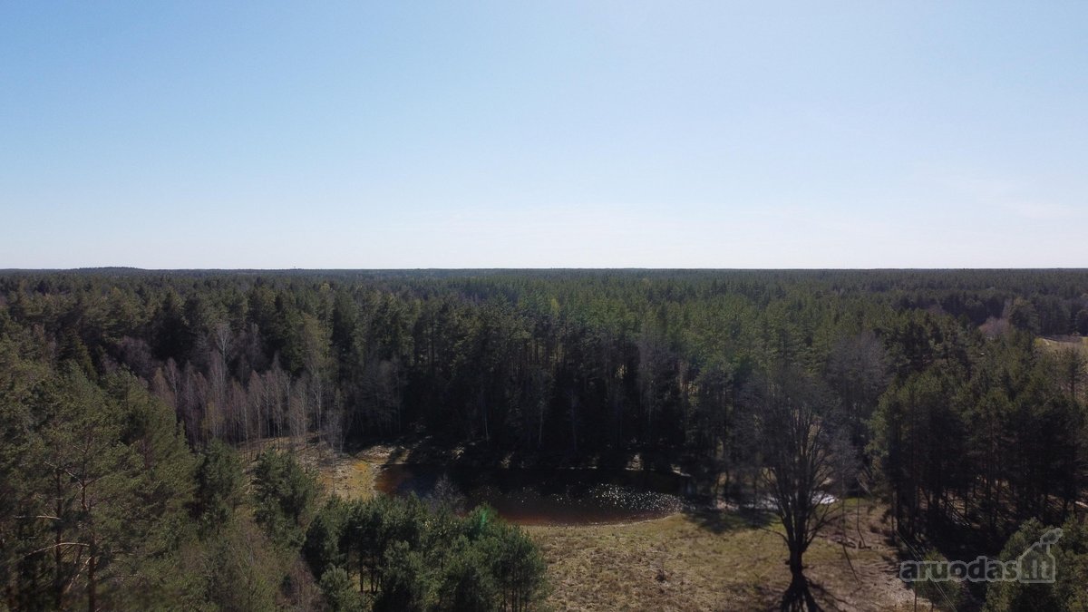 Unikalus sklypas su autentiška dūmine pirtimi - nuotraukos Nr. 19