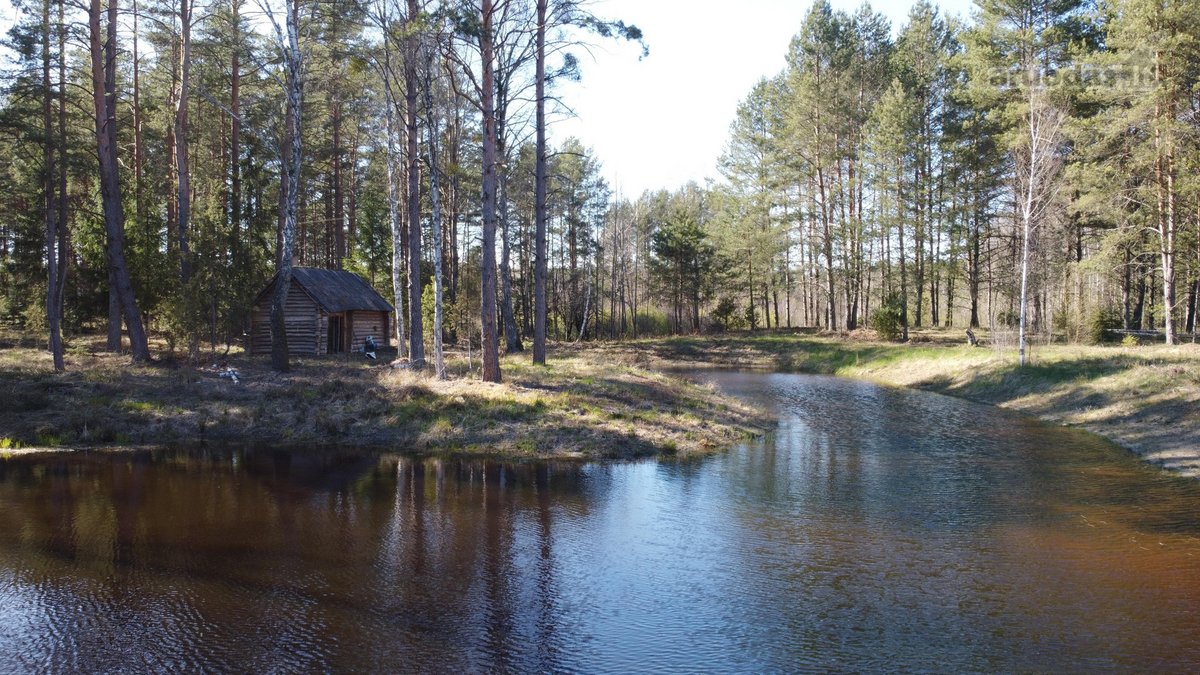 Unikalus sklypas su autentiška dūmine pirtimi - nuotraukos Nr. 20
