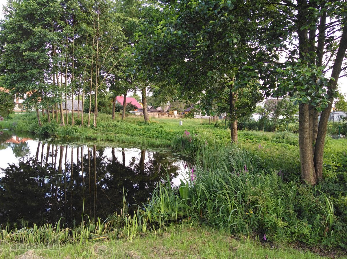 Skubiai parduodu 7,76 arų sklypą - nuotraukos Nr. 6