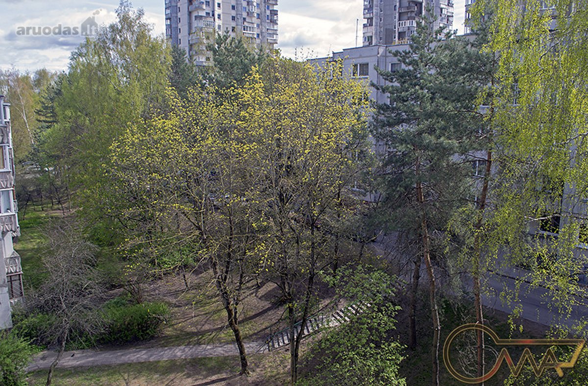 Šeškinėje nuomojamas tvarkingas 1 kambario - nuotraukos Nr. 11