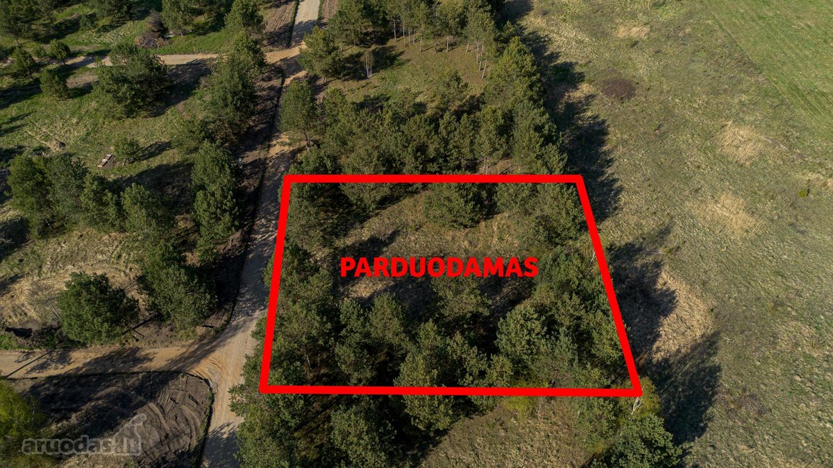 Parduodamas Namų Valdos Sklypas Pušyne –