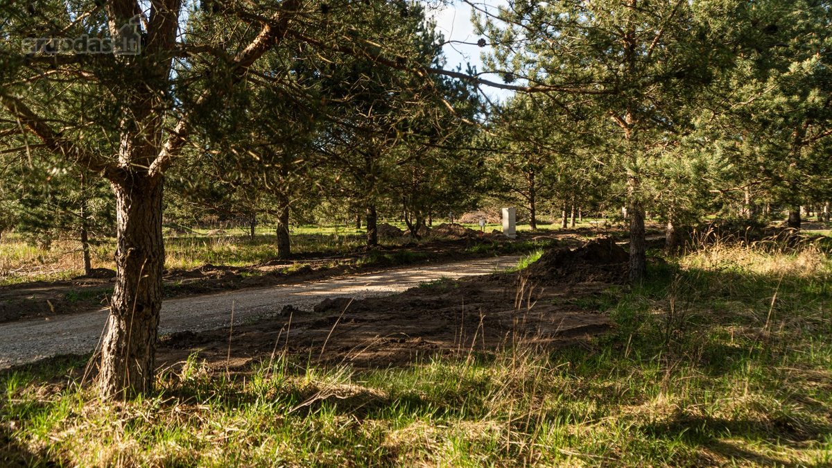 Parduodamas Namų Valdos Sklypas Pušyne – - nuotraukos Nr. 5