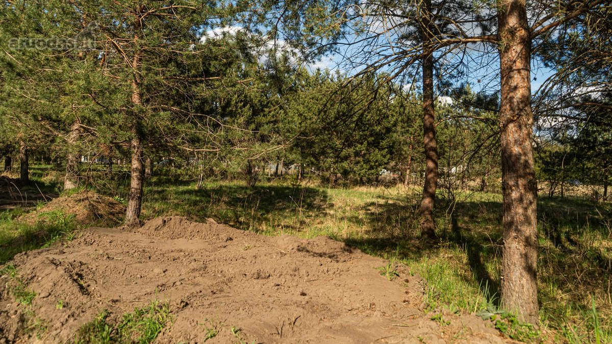 Parduodamas Namų Valdos Sklypas Pušyne – - nuotraukos Nr. 6
