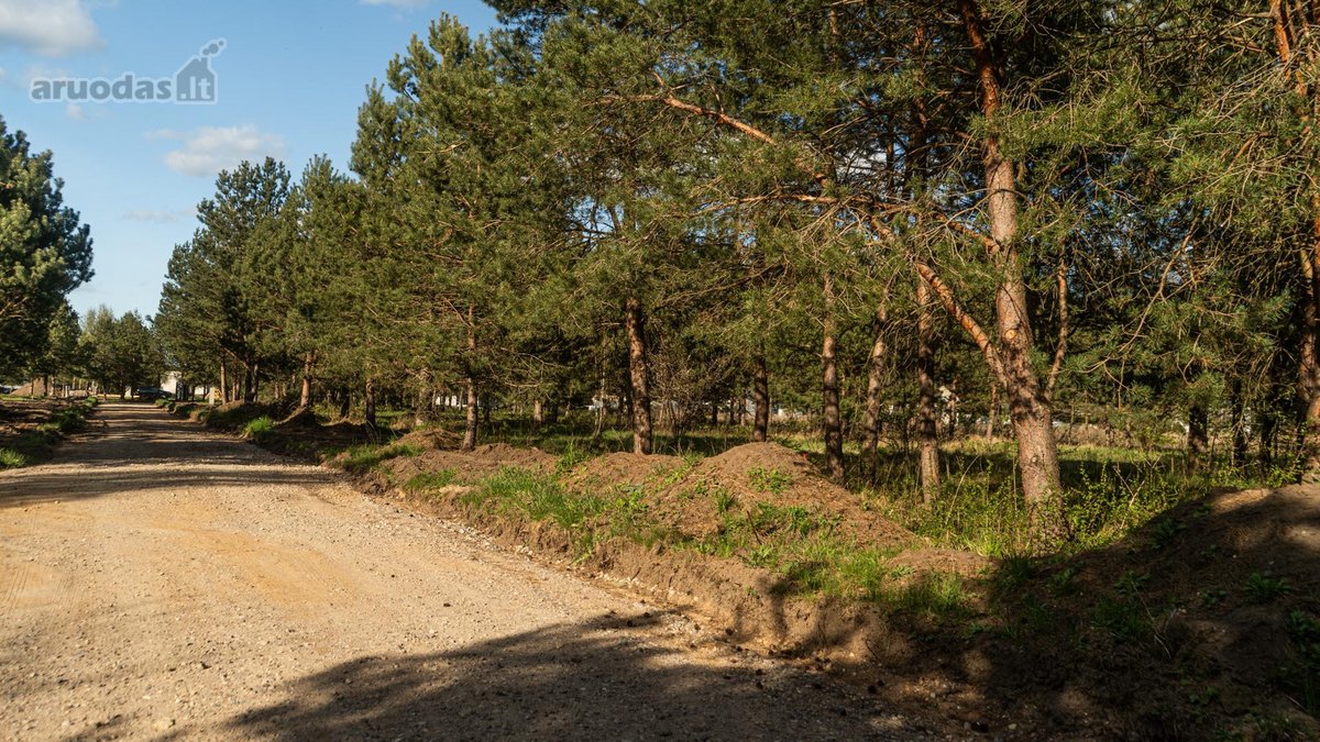 Parduodamas Namų Valdos Sklypas Pušyne – - nuotraukos Nr. 7