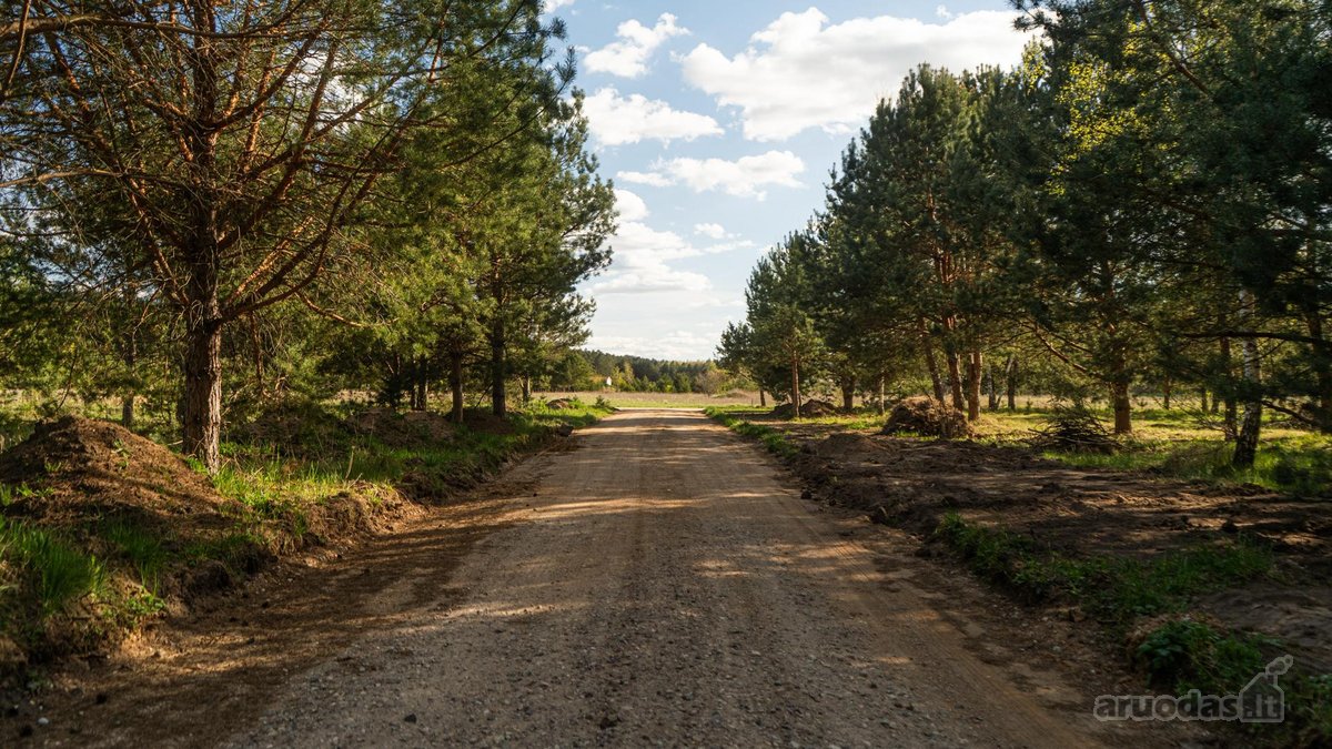 Parduodamas Namų Valdos Sklypas Pušyne – - nuotraukos Nr. 8