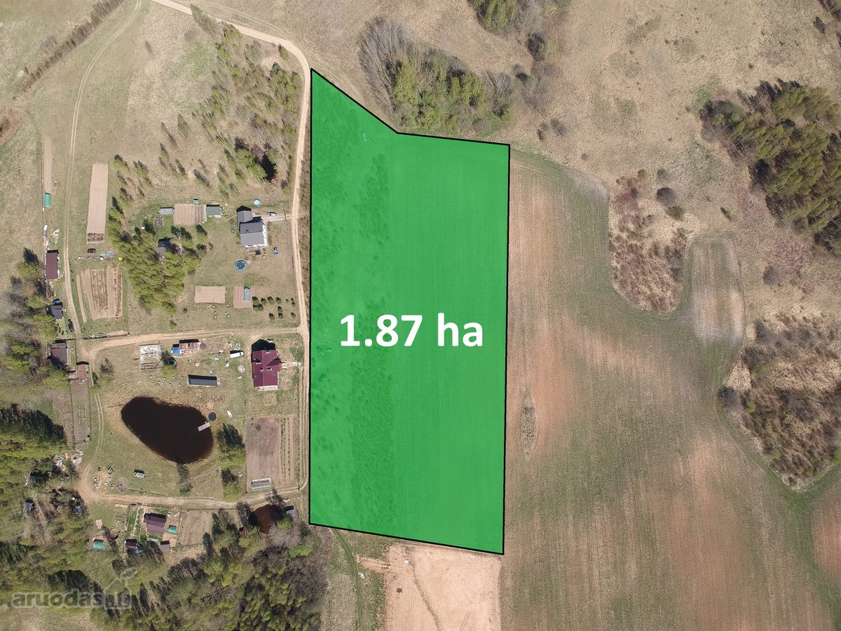 Parduodamas 1,87 Ha Žemės Ūkio Paskirties - nuotraukos Nr. 4