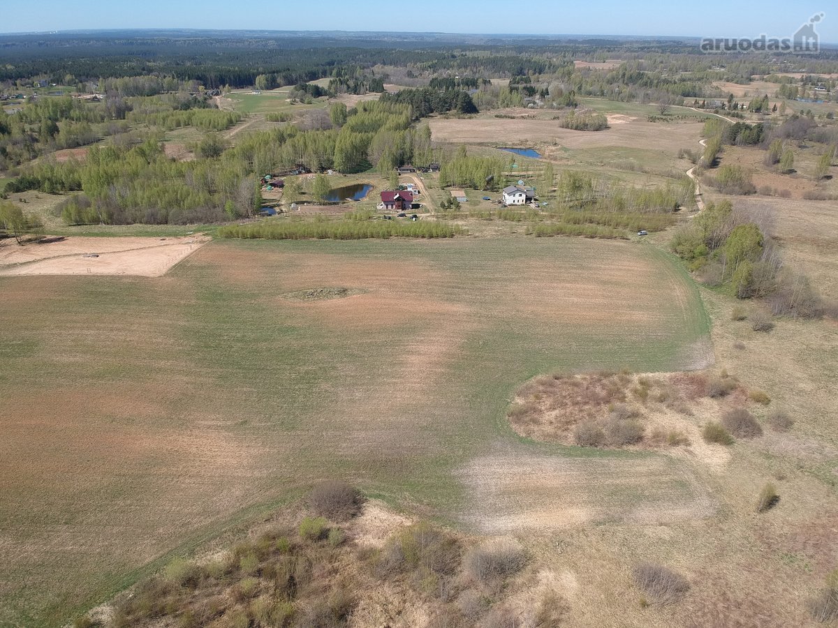 Parduodamas 1,87 Ha Žemės Ūkio Paskirties - nuotraukos Nr. 8