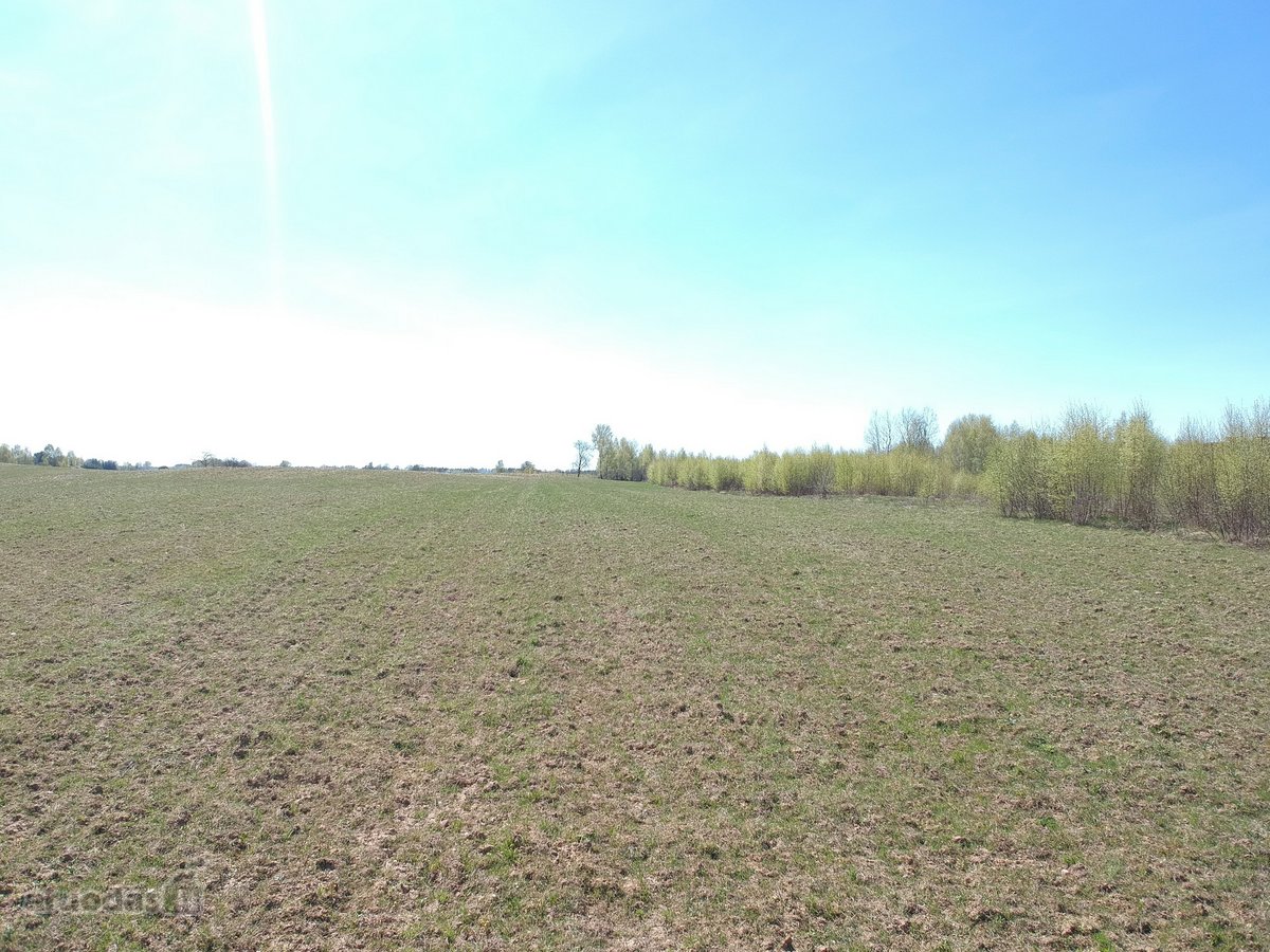 Parduodamas 1,87 Ha Žemės Ūkio Paskirties - nuotraukos Nr. 10