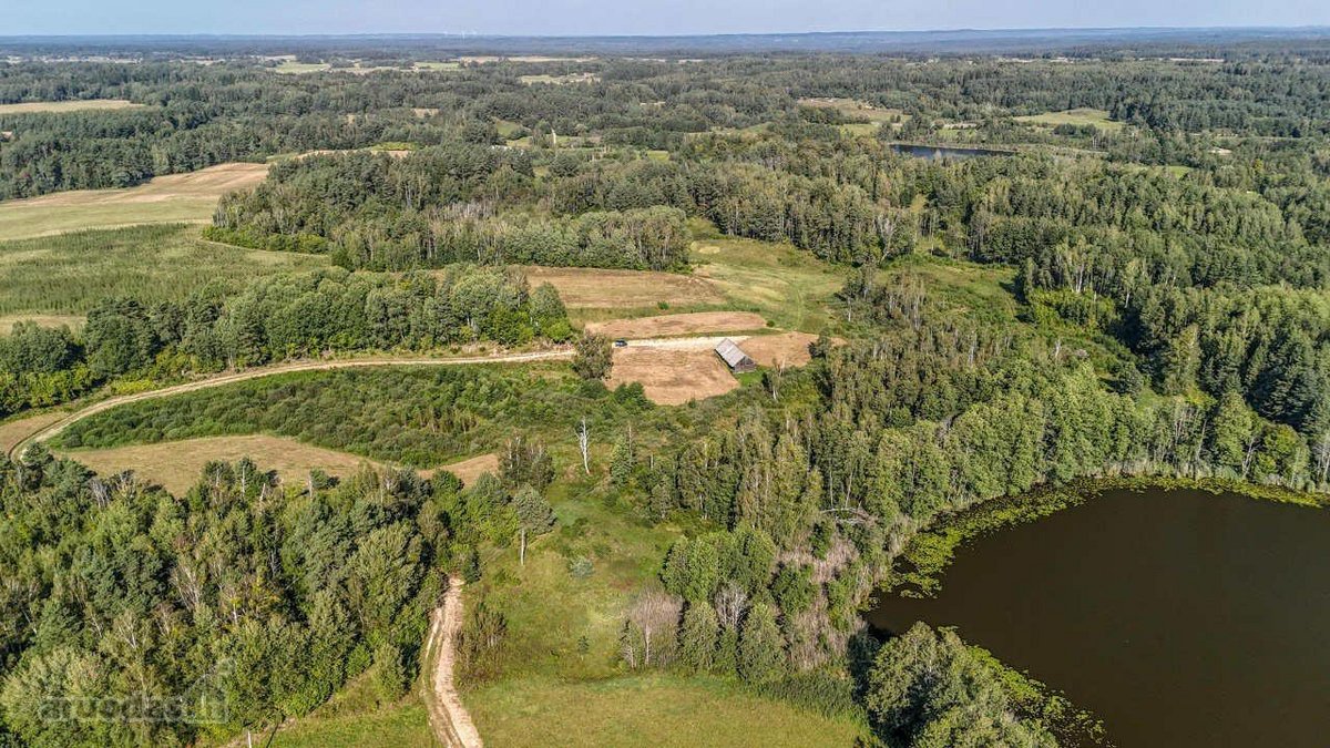 Merkinės sen. Papiškių k.du sklypai vienas - nuotraukos Nr. 19