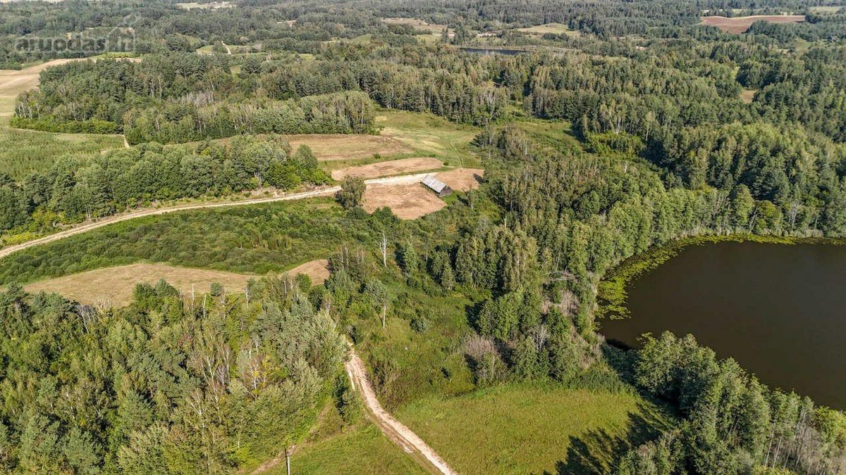 Merkinės sen. Papiškių k.du sklypai vienas - nuotraukos Nr. 28