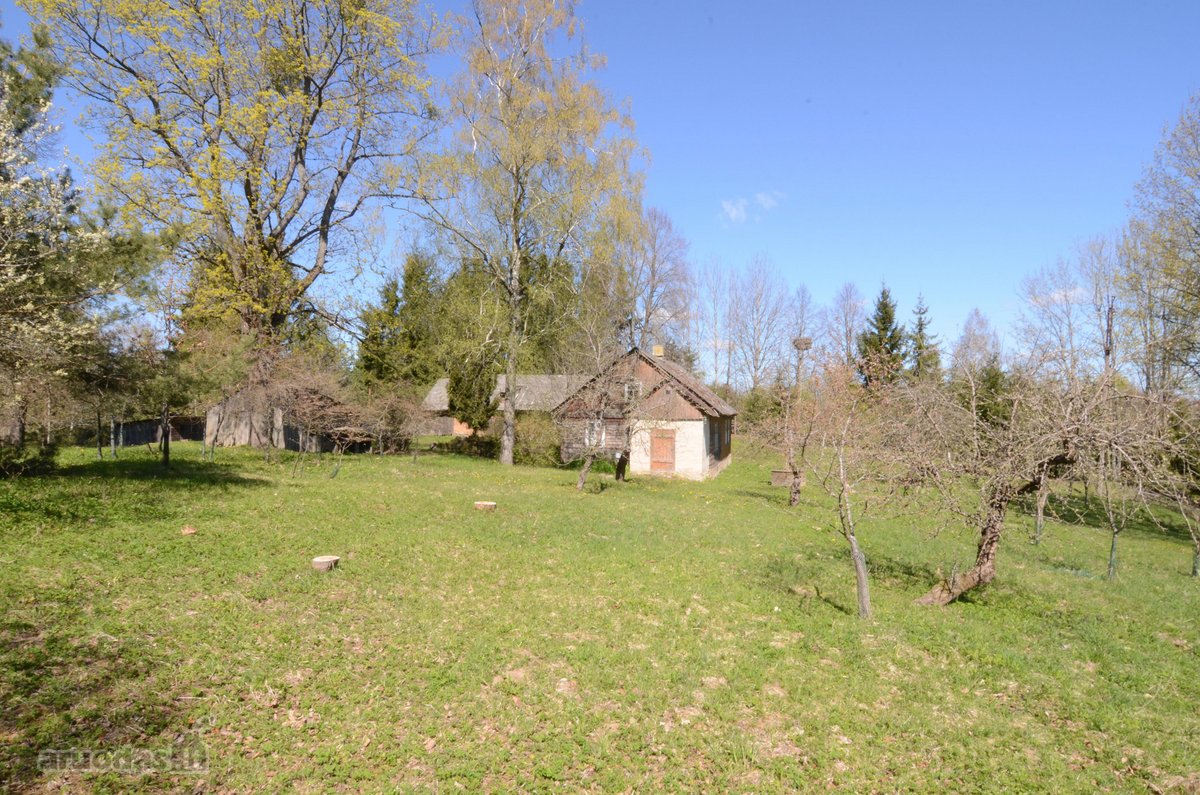 Parduodama sodyba Vilkaviškio savivaldybėje, - nuotraukos Nr. 5