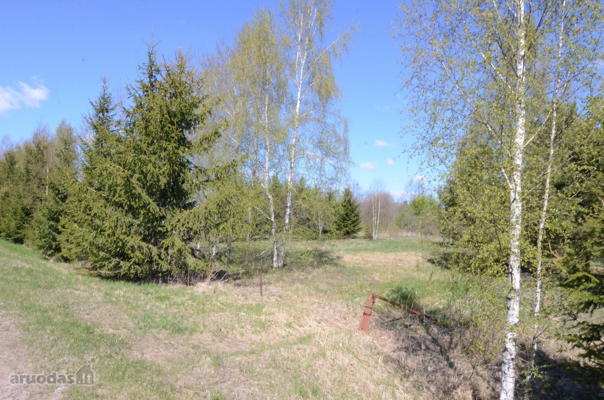 Parduodama sodyba Vilkaviškio savivaldybėje, - nuotraukos Nr. 16