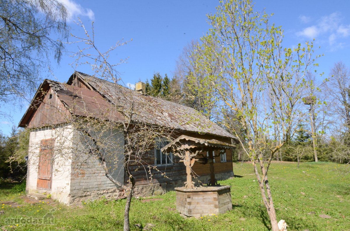 Parduodama sodyba Vilkaviškio savivaldybėje, - nuotraukos Nr. 22