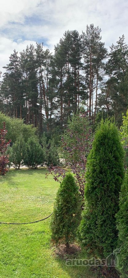 Parduodasi šalia 6a.,sklypas su vasarnamiu - nuotraukos Nr. 8