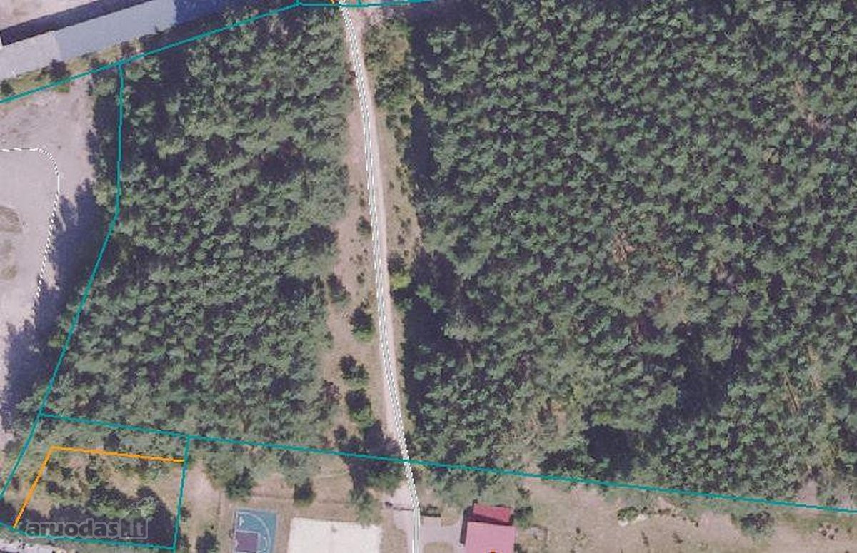 Ribojasi su Pušynu, 200 metrų iki tvenkinio - nuotraukos Nr. 19