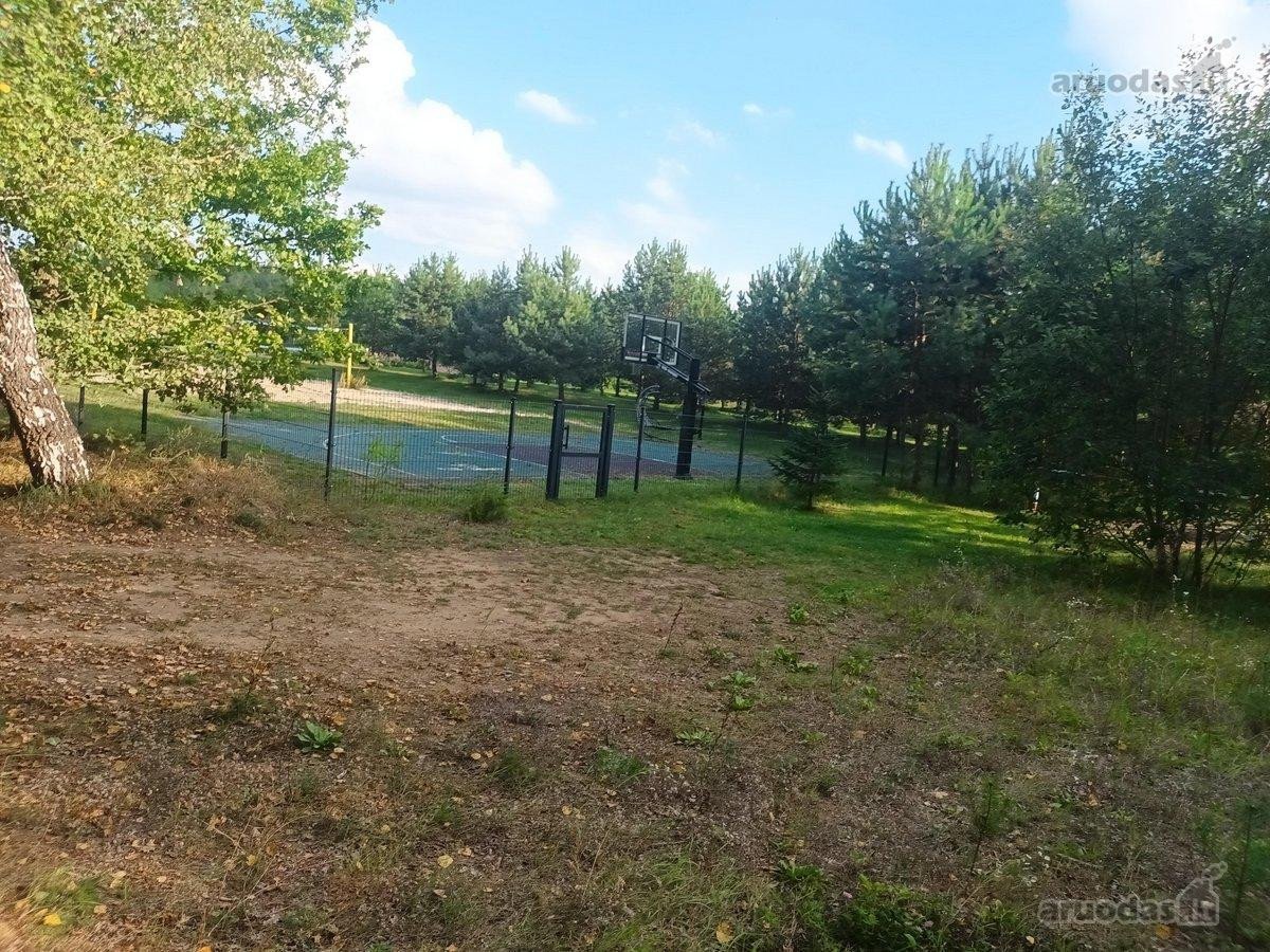 Ribojasi su Pušynu, 200 metrų iki tvenkinio - nuotraukos Nr. 3