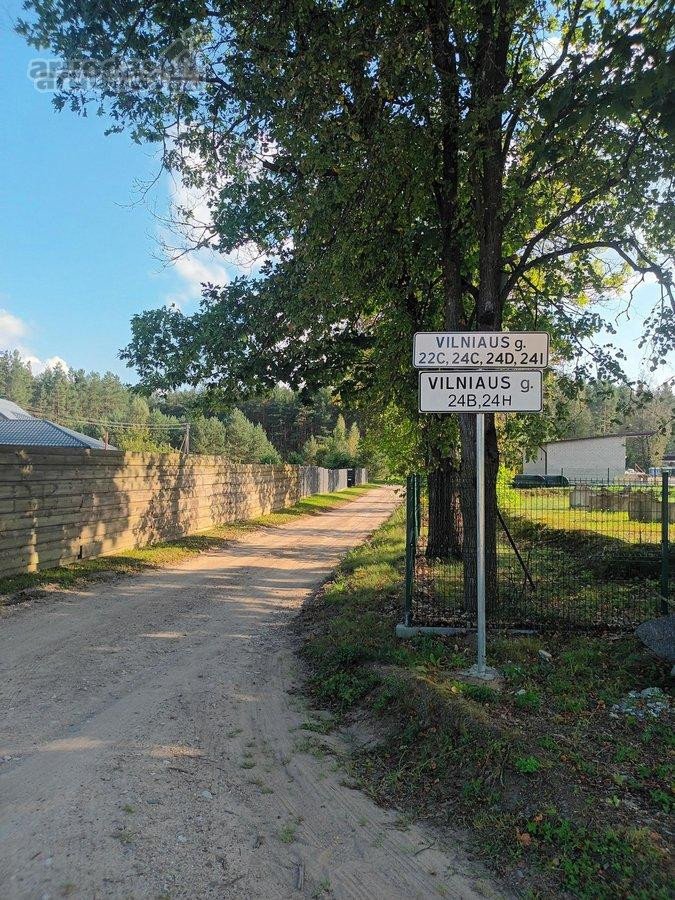 Ribojasi su Pušynu, 200 metrų iki tvenkinio - nuotraukos Nr. 17