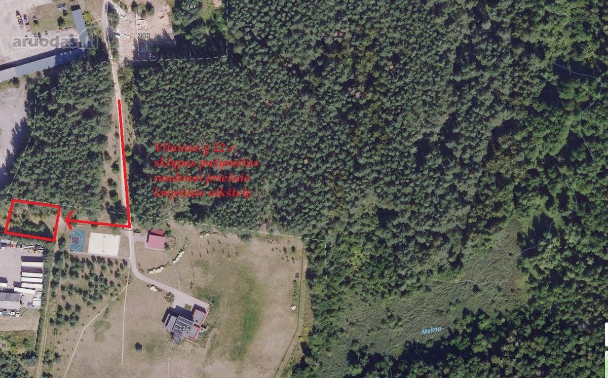 Ribojasi su Pušynu, 200 metrų iki tvenkinio - nuotraukos Nr. 18