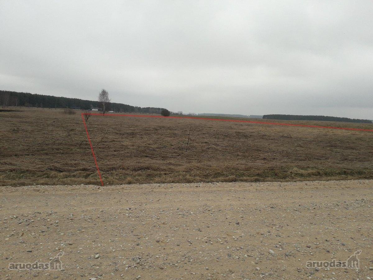 Iki ežero 1 km puiki sodyba galėtų būti poilsiui - nuotraukos Nr. 8
