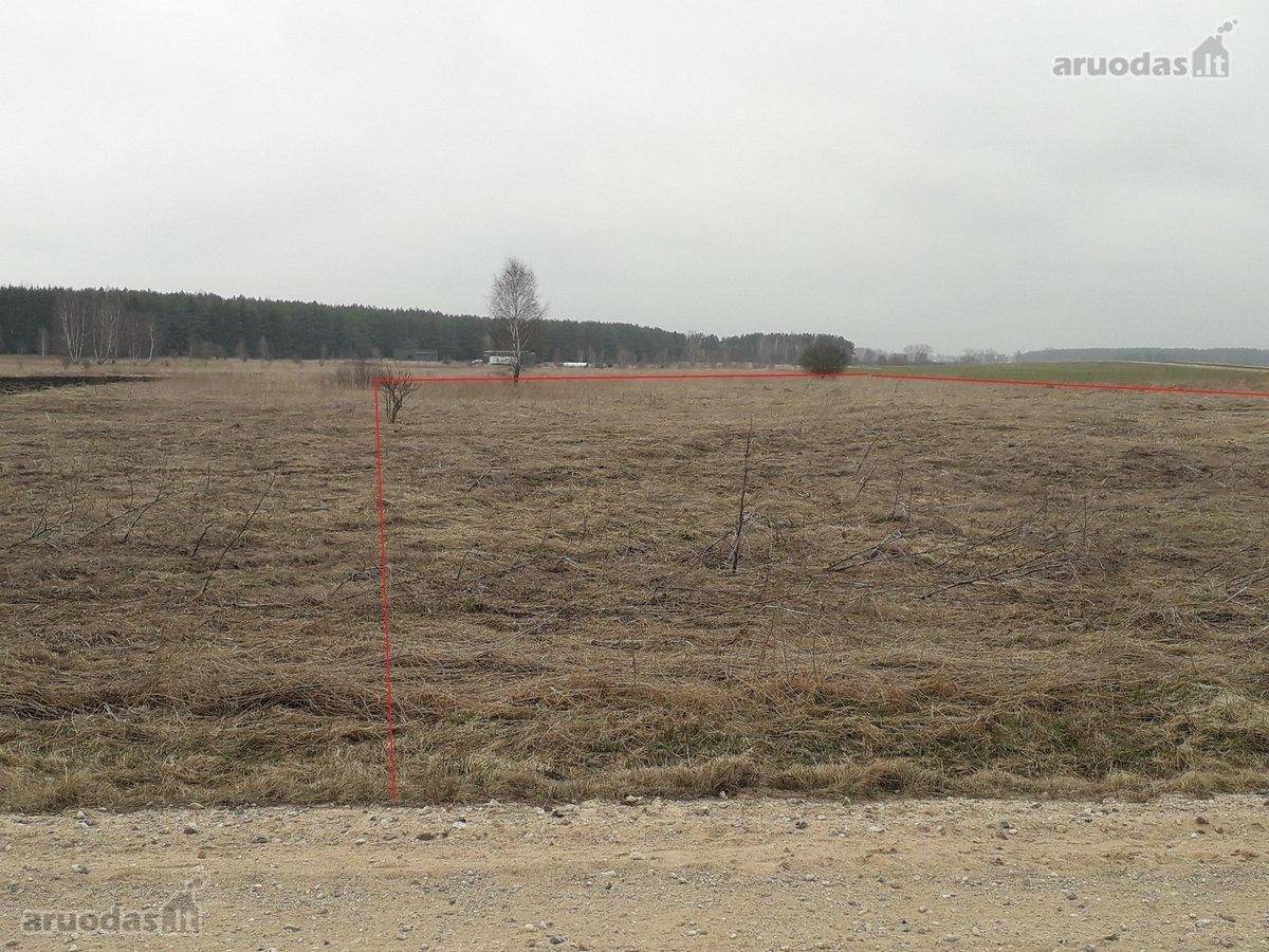 Iki ežero 1 km puiki sodyba galėtų būti poilsiui - nuotraukos Nr. 7