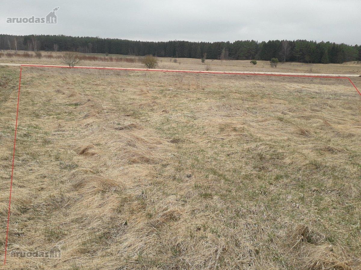 Iki ežero 1 km puiki sodyba galėtų būti poilsiui - nuotraukos Nr. 10