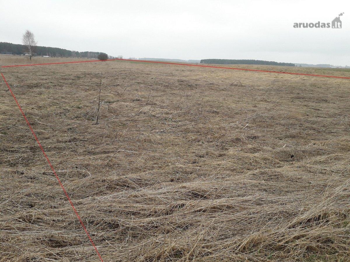 Iki ežero 1 km puiki sodyba galėtų būti poilsiui - nuotraukos Nr. 11