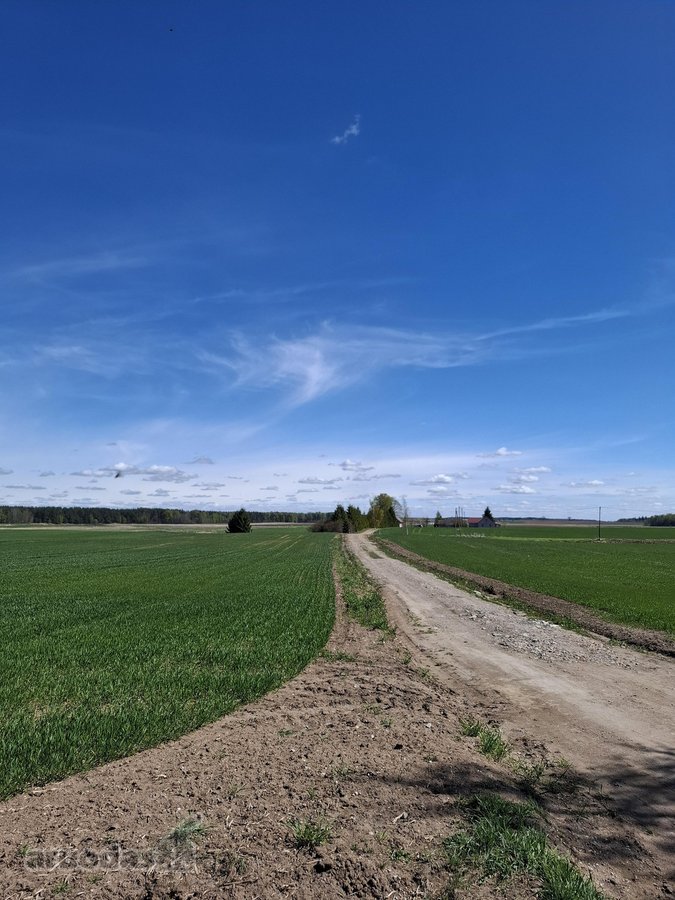 Parduodama dirbama žemė Jonavos rajone Kulvos - nuotraukos Nr. 3