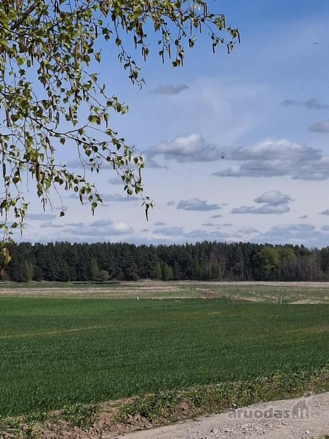 Parduodama dirbama žemė Jonavos rajone Kulvos - nuotraukos Nr. 5