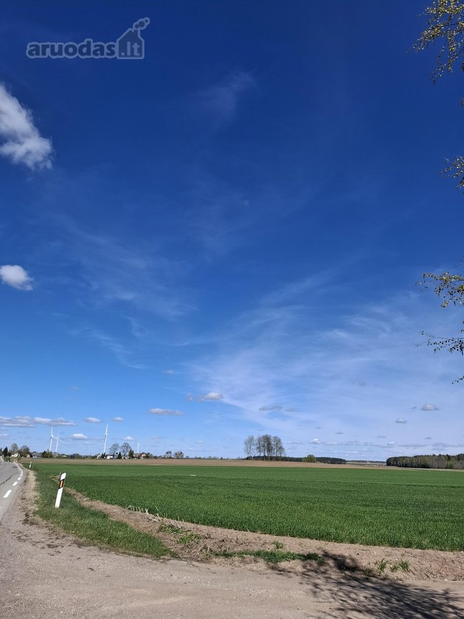 Parduodama dirbama žemė Jonavos rajone Kulvos - nuotraukos Nr. 9