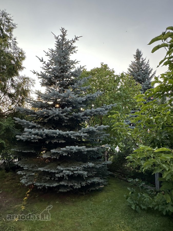 Namas miesto centre. Dvigubas žemės sklypas - nuotraukos Nr. 10