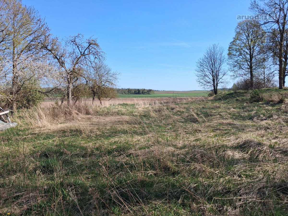Parduodama sodyba su žemės sklypu labai - nuotraukos Nr. 15