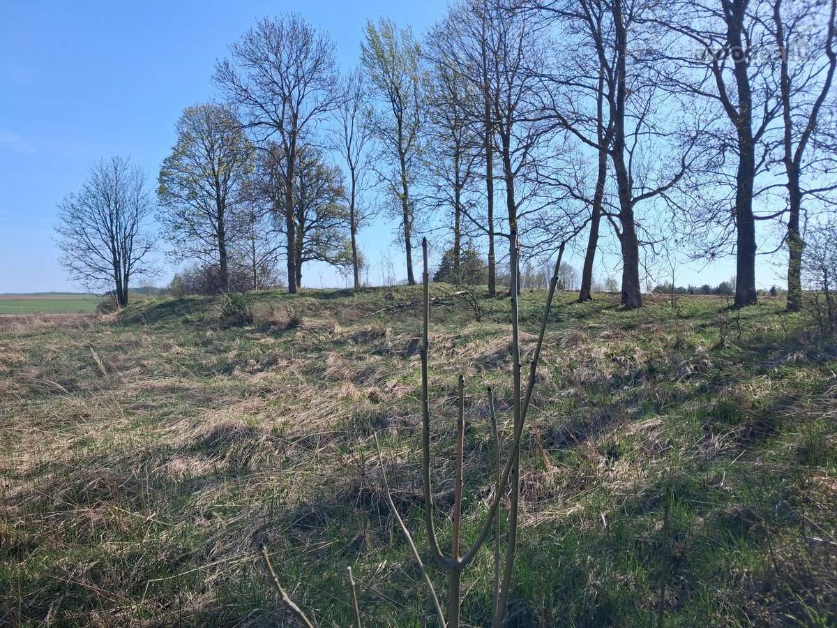 Parduodama sodyba su žemės sklypu labai - nuotraukos Nr. 16