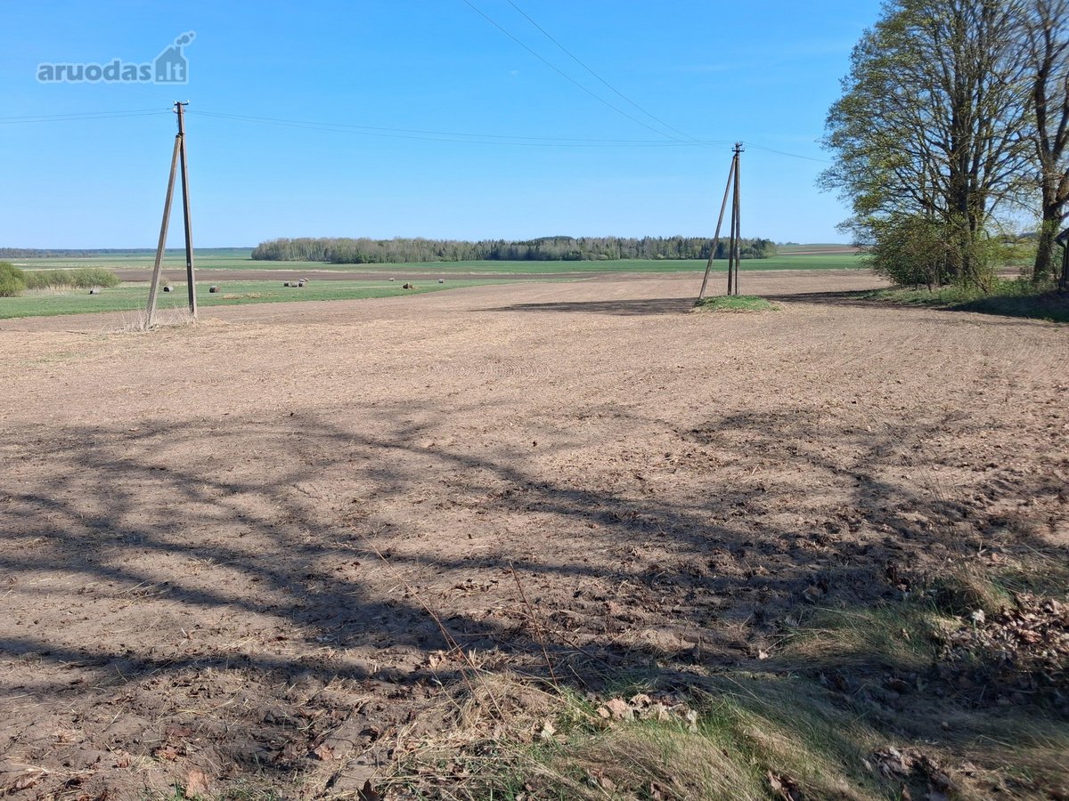 Parduodama sodyba su žemės sklypu labai - nuotraukos Nr. 20
