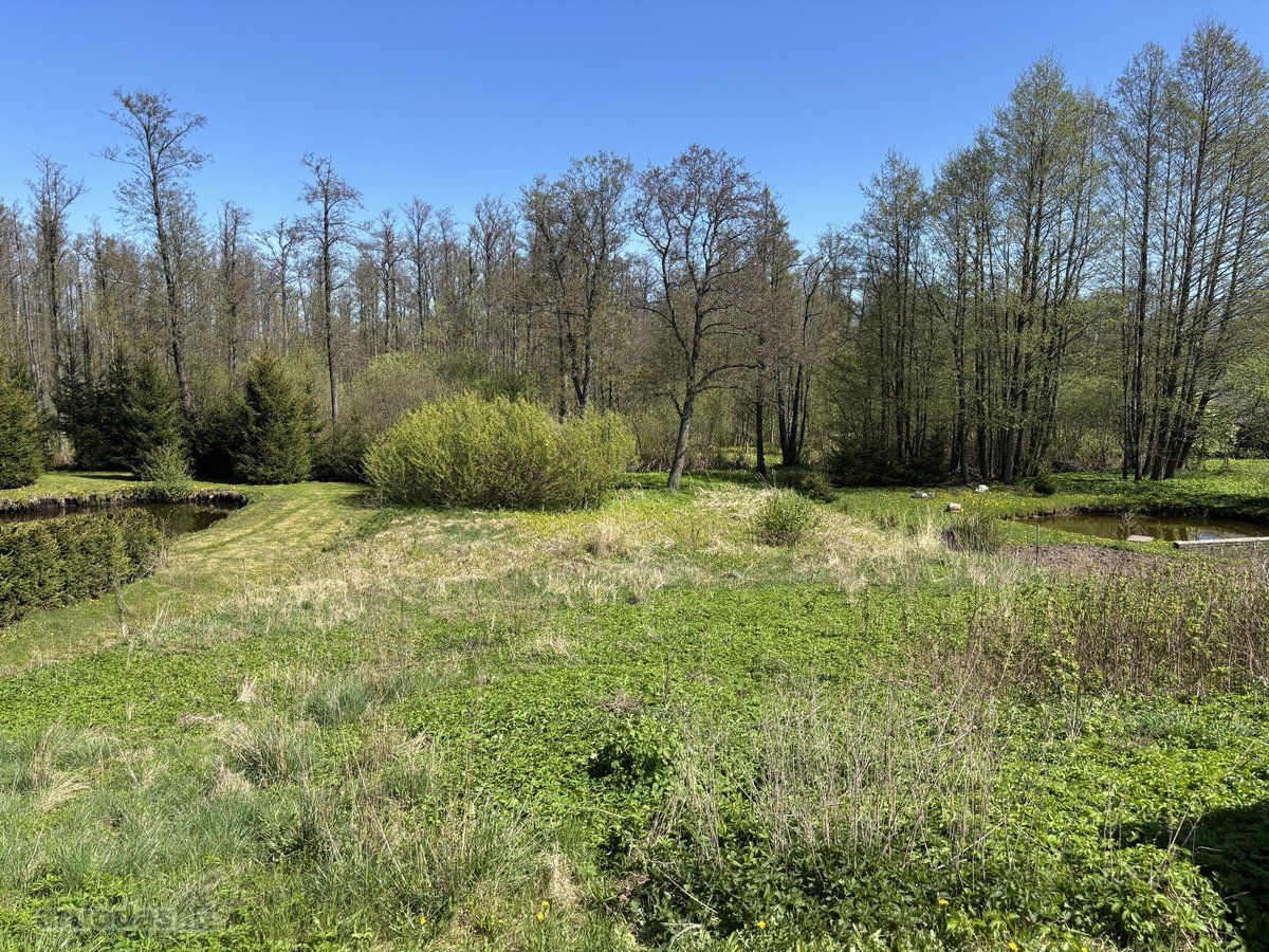 Rastinis namas su sklypu Zarasų r.sav. Turmantas - nuotraukos Nr. 3